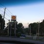 Photo of Shell