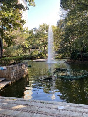 Kowloon Park by null