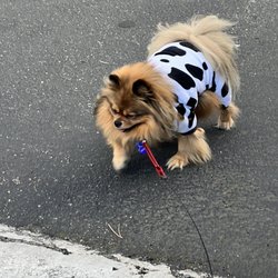 Renton Highlands Pet Clinic