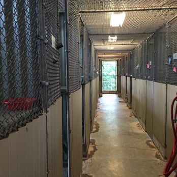 Animal Quarantine - Cat kennel area - Public Services & Government Near Me - Aiea, Hawaii Animal Quarantine - Cat kennel area - Public Services & Government Near Me - Aiea, Hawaii
