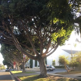 Beautiful campus