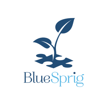 BlueSprig - Behavior Analysts Near Me - Flower Mound, Texas BlueSprig - Behavior Analysts Near Me - Flower Mound, Texas