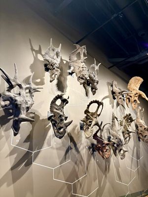 Natural History Museum of Utah by null