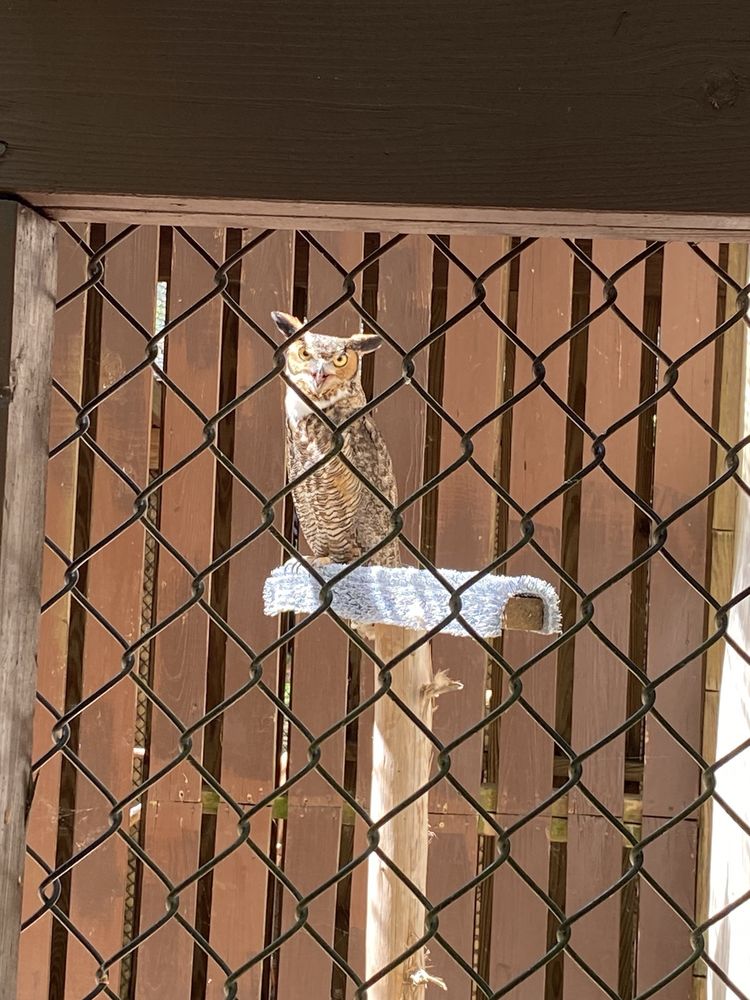 Carolina Raptor Center