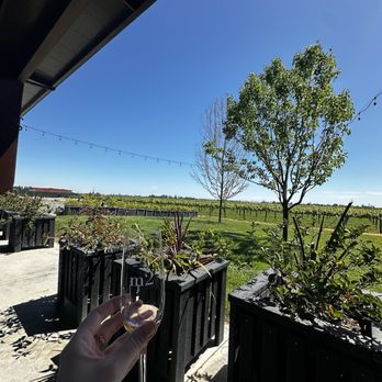 m2 Wines - Wine Tasting Room Near Me - Acampo, California