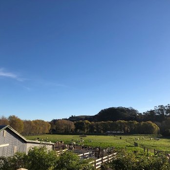 Harley Farms - View of Goat Farm - Cheese Shops Near Me - Pescadero, California Harley Farms - View of Goat Farm - Cheese Shops Near Me - Pescadero, California