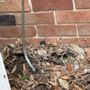 Photo of Keith McNeill Plumbing Cont