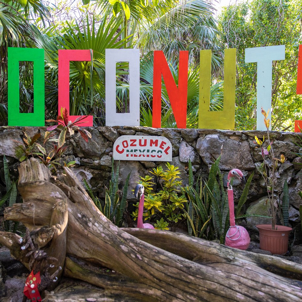 Coconuts Bar & Grill - Bars Near Me - Cozumel, ROO Coconuts Bar & Grill - Bars Near Me - Cozumel, ROO