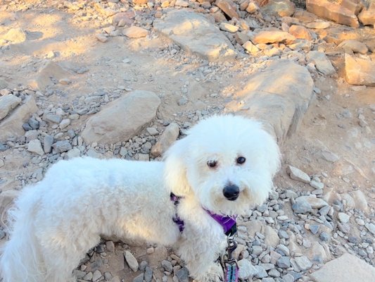 Gateway Trailhead - McDowell Sonoran Preserve by null