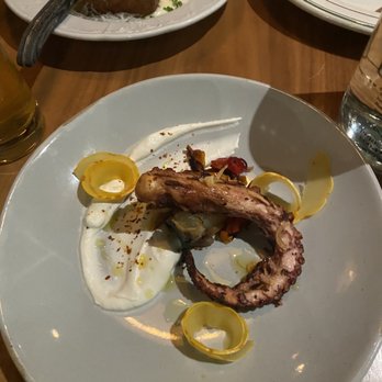 Geppetto - Octopus (rather a tentacle of octopus) - Italian Near Me - Cambridge, Massachusetts
