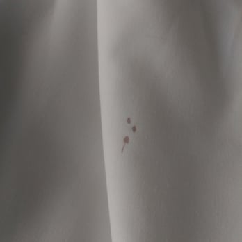 The Westin Seattle - Blood stains on the sheets!! Gross!! - Hotels Near Me - Seattle, Washington