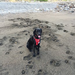 We had the beach all to ourselves...