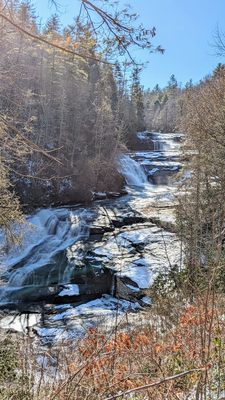 DuPont State Recreational Forest by null