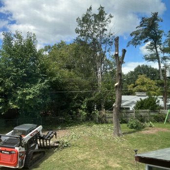 Rlayang Tree service - Branches removed and clearing remaining leaves - Tree Services Near Me - Greensboro, North Carolina Rlayang Tree service - Branches removed and clearing remaining leaves - Tree Services Near Me - Greensboro, North Carolina