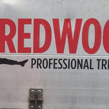 REDWOOD Tree Care - Redwood logo 2018 - Tree Services Near Me - Solihull, XWM REDWOOD Tree Care - Redwood logo 2018 - Tree Services Near Me - Solihull, XWM