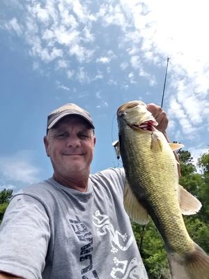 Home Health Assistant