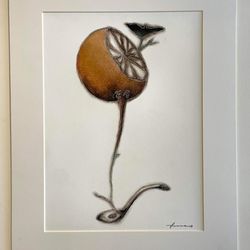 Morpho Gallery Records and Art