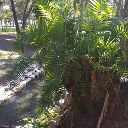 Nature Nature