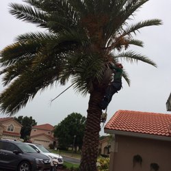 Lane's Tree Service