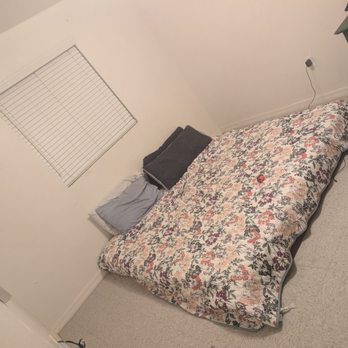 Working Bee Cleaning Services - Home Cleaning Near Me