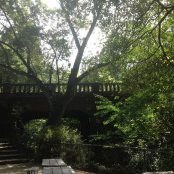 Live Oak Park - Bridge over babbling brook. - Parks Near Me - Berkeley, California