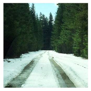 Panther Creek Falls - We passed the main entrance/parking and ended up on slushy snow road @ 4 corners. - Hiking Near Me - Carson, Washington Panther Creek Falls - We passed the main entrance/parking and ended up on slushy snow road @ 4 corners. - Hiking Near Me - Carson, Washington