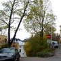 Photo of Markjordbær i byen