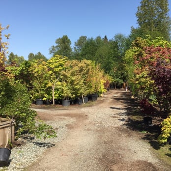 Art's Nurserys  - Nurseries & Gardening Near Me - Surrey, British Columbia