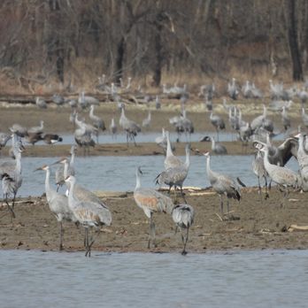 Whitewater State Park - thousands of sandhill cranes - Parks Near Me - Liberty, Indiana Whitewater State Park - thousands of sandhill cranes - Parks Near Me - Liberty, Indiana