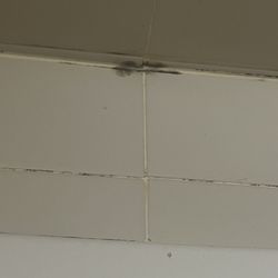 Saint Martin's University - Mold