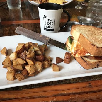Fig Tree Cafe - Breakfast & Brunch Near Me - San Diego, California