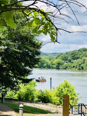 Tennessee Riverpark by null