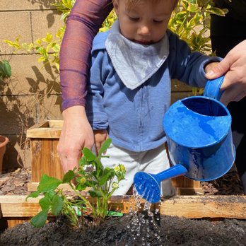 Little Explorers Montessori - Taking care of his strawberry plant love how hands on learning is! - Preschools Near Me - Irvine, California Little Explorers Montessori - Taking care of his strawberry plant love how hands on learning is! - Preschools Near Me - Irvine, California
