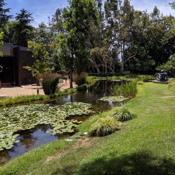 Norton Simon Museum - Pond - Art Museums Near Me - Pasadena, California Norton Simon Museum - Pond - Art Museums Near Me - Pasadena, California