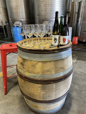 The Ordinary Fellow by null