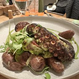 Octopus
