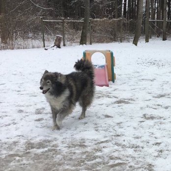 Creekside Resort - Pet Sitting Near Me - Walworth, New York Creekside Resort - Pet Sitting Near Me - Walworth, New York