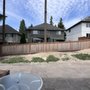 Western Hemlock Tree & Stump Service