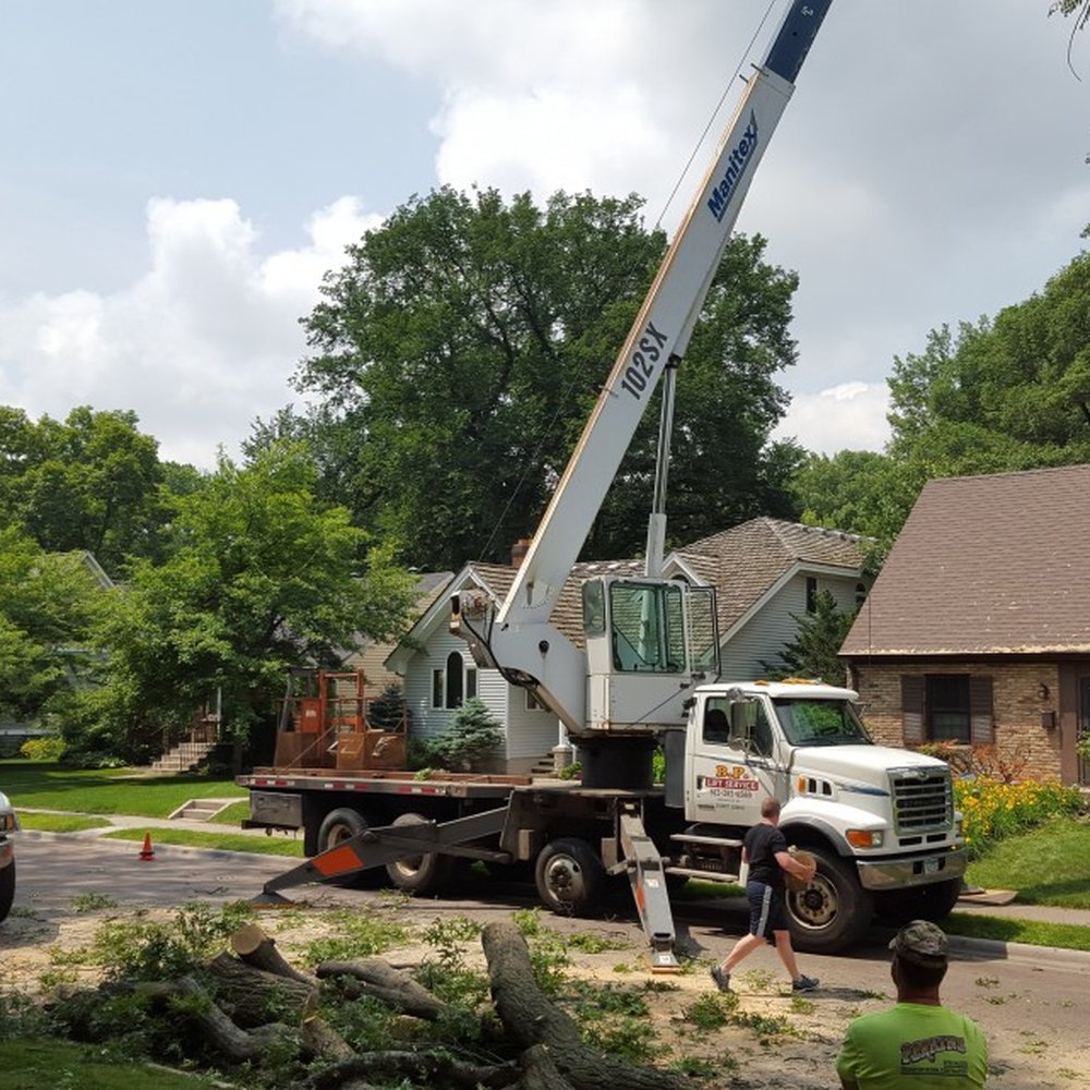 THE BEST 10 Tree Services in BURNSVILLE, MN - Last Updated November 2023 -  Yelp