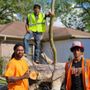 Photo of Slash and Bang Tree Service
