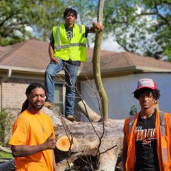 Slash and Bang Tree Service