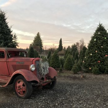 Green Branch Ranch - Christmas Trees Near Me - Tacoma, Washington