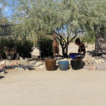 Acacia Nursery - Nurseries & Gardening Near Me - Marana, Arizona Acacia Nursery - Nurseries & Gardening Near Me - Marana, Arizona