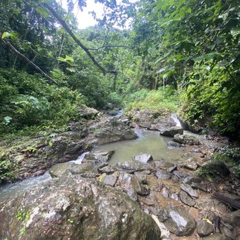 Jerrys Adventures llc. - Luxurious views along the hike - Tours Near Me - Bayamón, Puerto Rico Jerrys Adventures llc. - Luxurious views along the hike - Tours Near Me - Bayamón, Puerto Rico