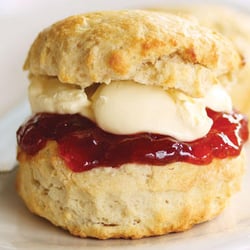 Bow Garden & Aquatic Centre - Gorgeous cream teas
