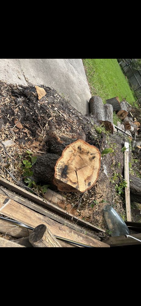 Slide of Professional Choice Construction