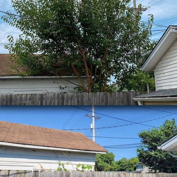 Sizemore Tree Works - Removal - Tree Services Near Me