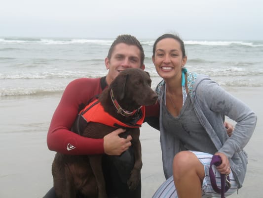 Photos from Happy Clients - This is a collection of photos of dogs that successfully completed training with us! :D