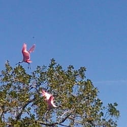 Everglades Private Airboat Tours