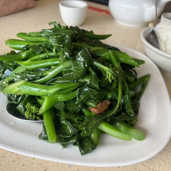 Red Maple Chinese Restaurant - 8. Broccoli Stir Fried a la Carte Lunch - Dim Sum Near Me - Taylorsville, Utah Red Maple Chinese Restaurant - 8. Broccoli Stir Fried a la Carte Lunch - Dim Sum Near Me - Taylorsville, Utah